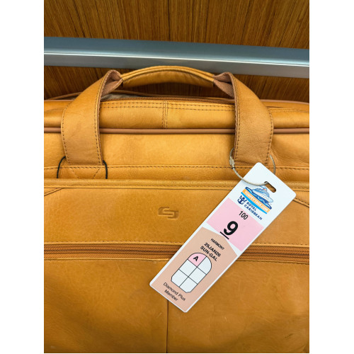 Royal Caribbean Cruise Luggage Tag – Custom Printed & Ready to Use