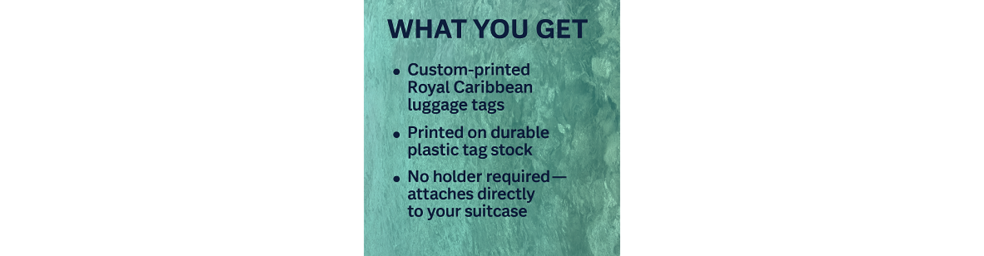 Royal Caribbean Luggage Tag